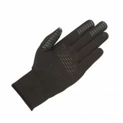 Clothing Alpinestars Cirrus Gloves
